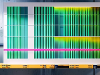 工程化加固中的依赖管理，确保项目成功的关键，化加固中依赖管理的重要性，确保项目