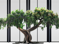 深入理解前端开发中的TreeShaking与LCP，掌握前端开发中的TreeShaking与